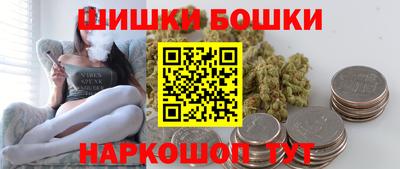 соль ск Славгород